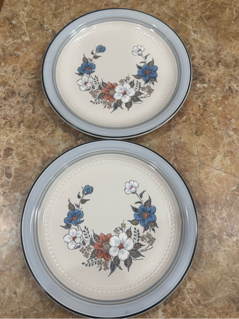 Johann Haviland Crowning Fashion Blue Bouquet Dinner Plates Set Of 2 Floral